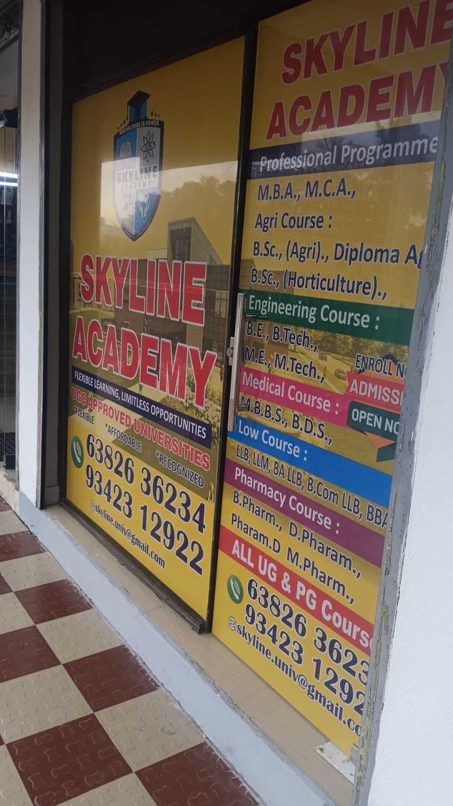 Skyline Academy storefront with course listings